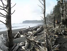 Rialto Beach 2012